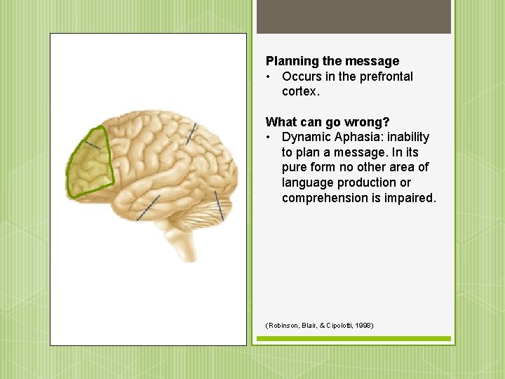 Planning the message • Occurs in the prefrontal cortex. What can go wrong? •