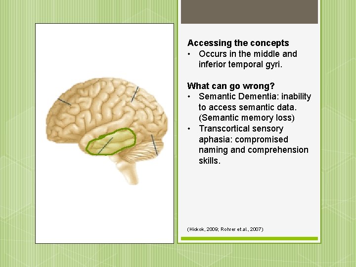 Accessing the concepts • Occurs in the middle and inferior temporal gyri. What can