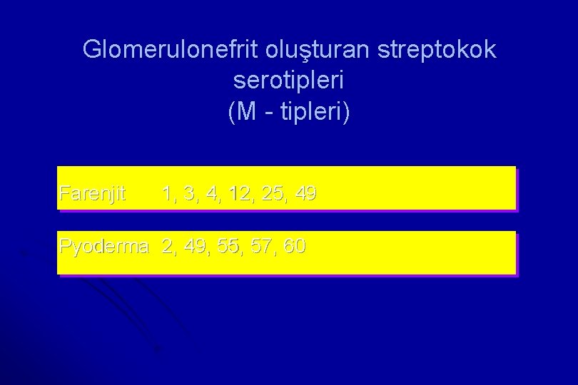 Glomerulonefrit oluşturan streptokok serotipleri (M tipleri) Farenjit 1, 3, 4, 12, 25, 49 Pyoderma