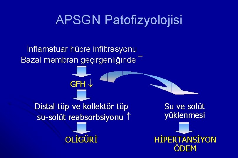 APSGN Patofizyolojisi İnflamatuar hücre infiltrasyonu Bazal membran geçirgenliğinde ¯ GFH ¯ Distal tüp ve
