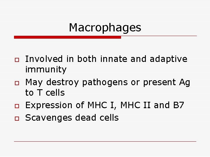 Macrophages o o Involved in both innate and adaptive immunity May destroy pathogens or