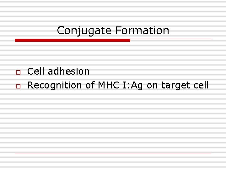 Conjugate Formation o o Cell adhesion Recognition of MHC I: Ag on target cell