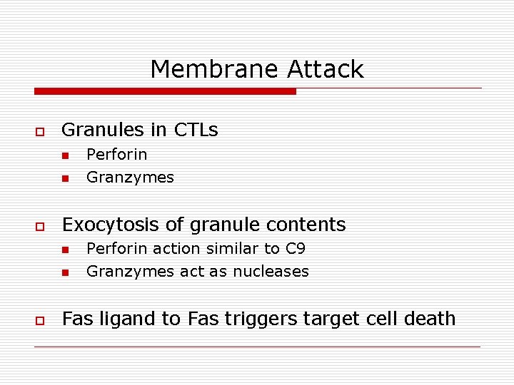 Membrane Attack o Granules in CTLs n n o Exocytosis of granule contents n