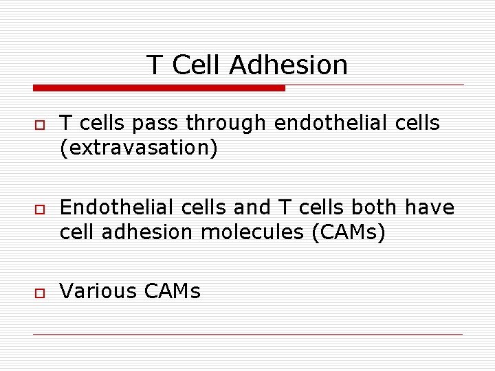 T Cell Adhesion o o o T cells pass through endothelial cells (extravasation) Endothelial