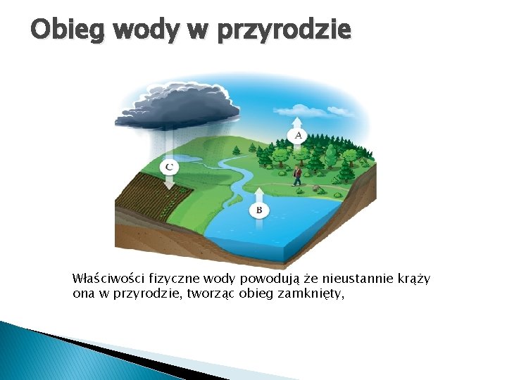 Obieg wody w przyrodzie Właściwości fizyczne wody powodują że nieustannie krąży ona w przyrodzie,
