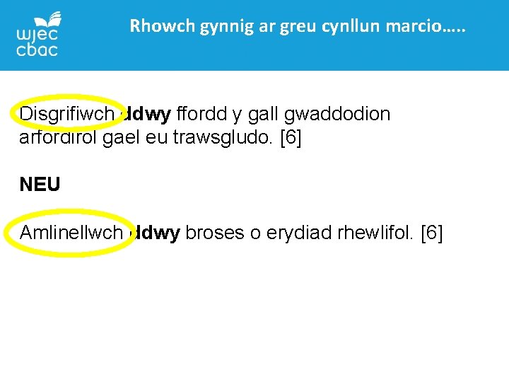 Rhowch gynnig ar greu cynllun marcio…. . Disgrifiwch ddwy ffordd y gall gwaddodion arfordirol