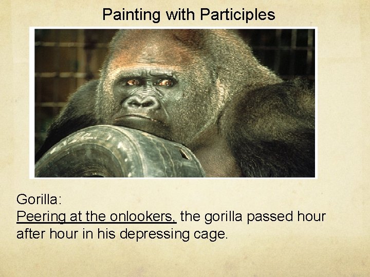 Painting with Participles Gorilla: Peering at the onlookers, the gorilla passed hour after hour