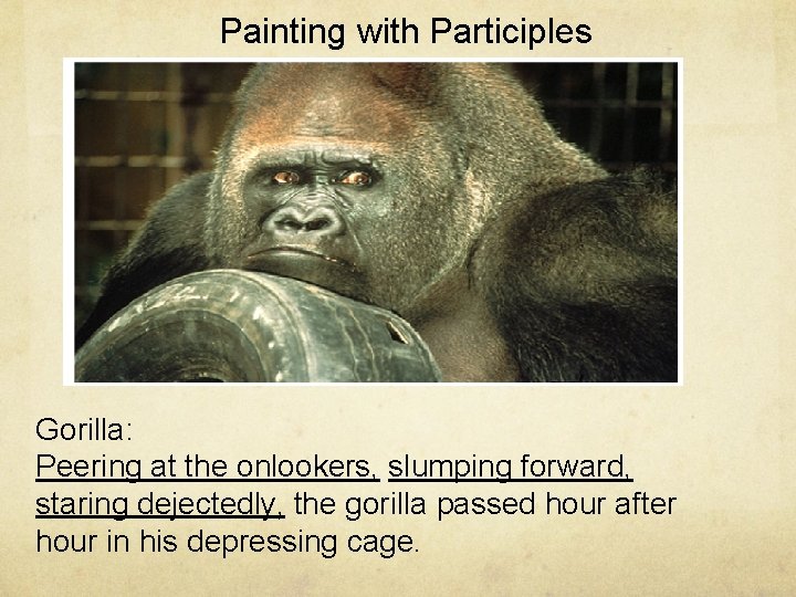 Painting with Participles Gorilla: Peering at the onlookers, slumping forward, staring dejectedly, the gorilla