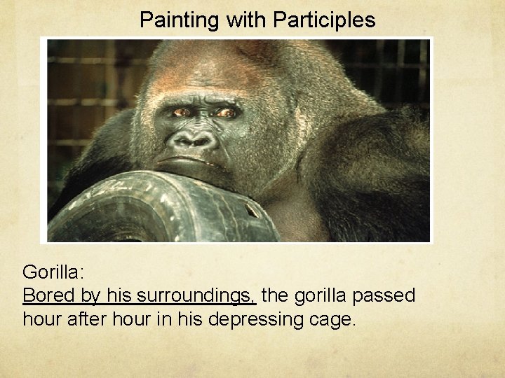 Painting with Participles Gorilla: Bored by his surroundings, the gorilla passed hour after hour