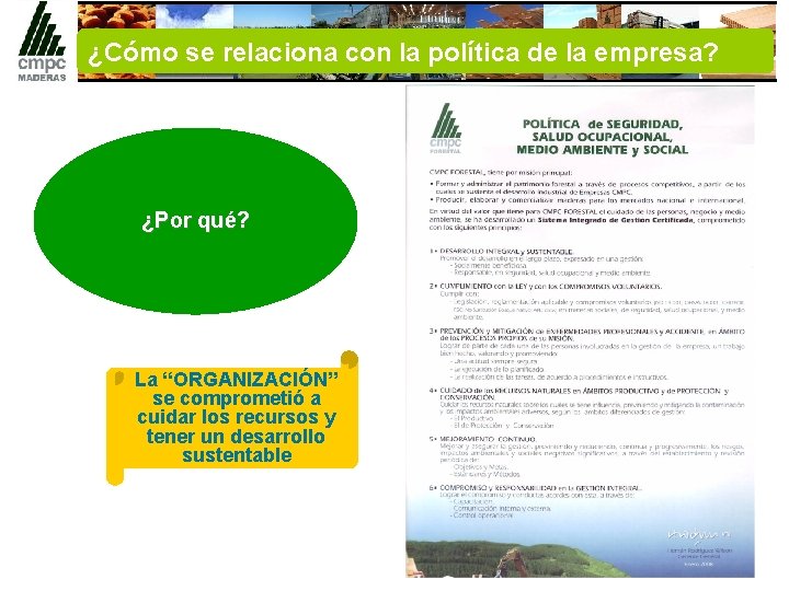 ¿Cómo se relaciona con la política de la empresa? ¿Por qué? La “ORGANIZACIÓN” se