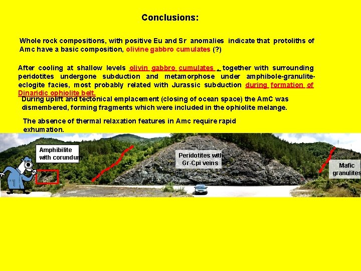 Conclusions: Whole rock compositions, with positive Eu and Sr anomalies indicate that protoliths of