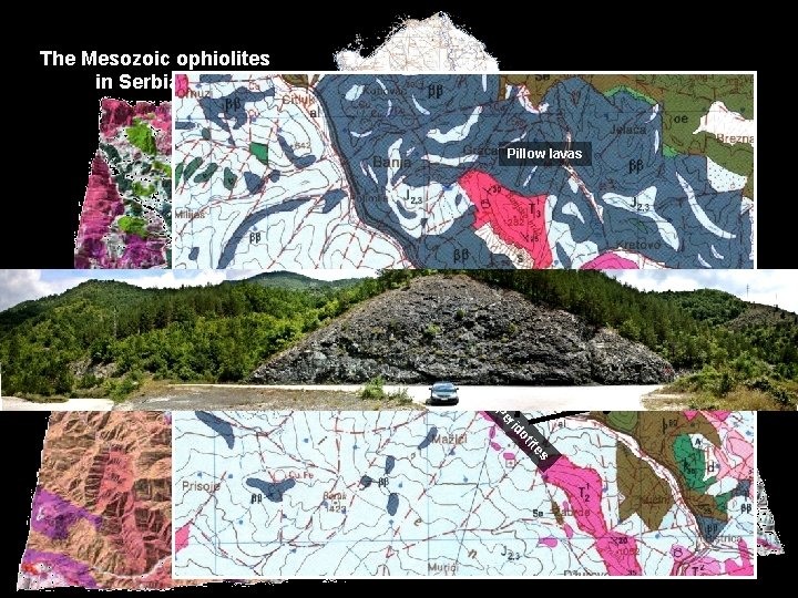 The Mesozoic ophiolites in Serbia TISSIA Va Pillow lavas rd ar Belgrade zo Tr