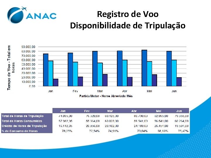 Registro de Voo Disponibilidade de Tripulação 
