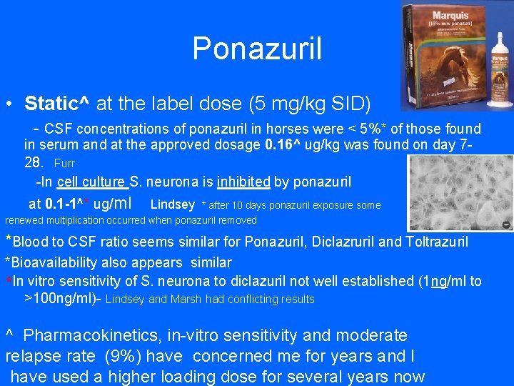 Ponazuril • Static^ at the label dose (5 mg/kg SID) - CSF concentrations of