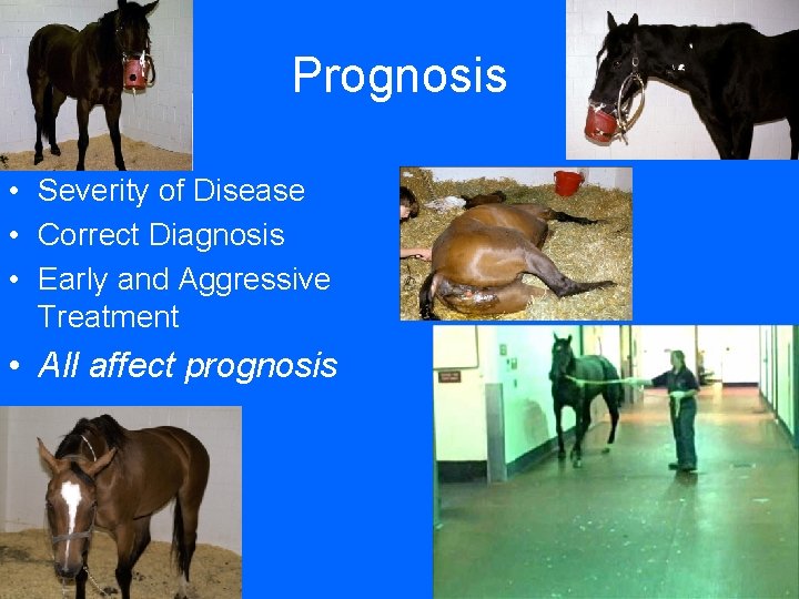 Prognosis • Severity of Disease • Correct Diagnosis • Early and Aggressive Treatment •