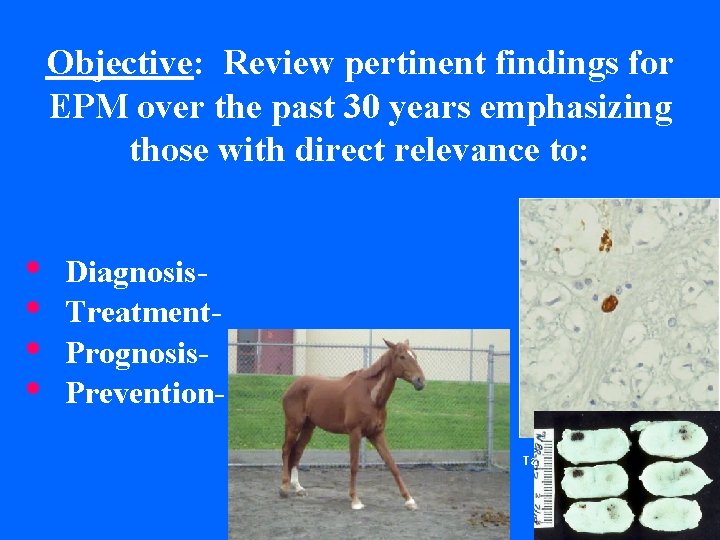 Objective: Review pertinent findings for EPM over the past 30 years emphasizing those with