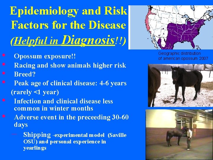 Epidemiology and Risk Factors for the Disease (Helpful in Diagnosis!!) • • • Opossum