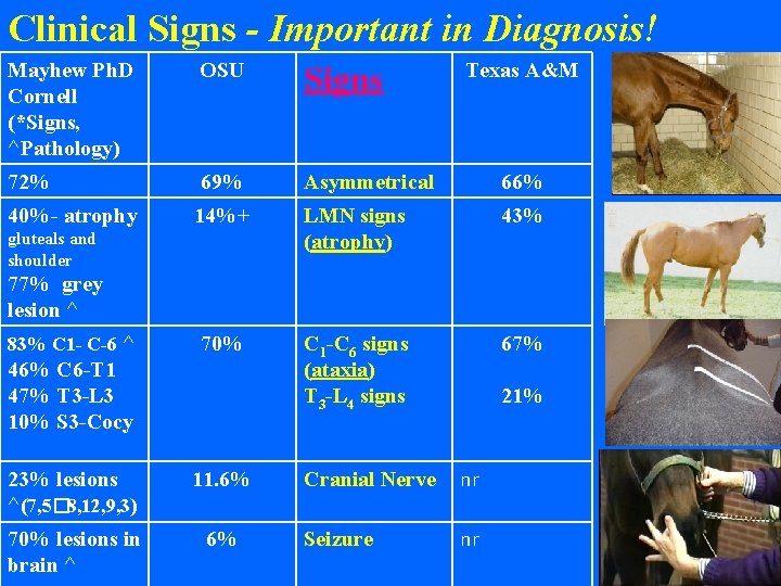 Clinical Signs - Important in Diagnosis! Mayhew Ph. D Cornell (*Signs, ^Pathology) OSU Signs