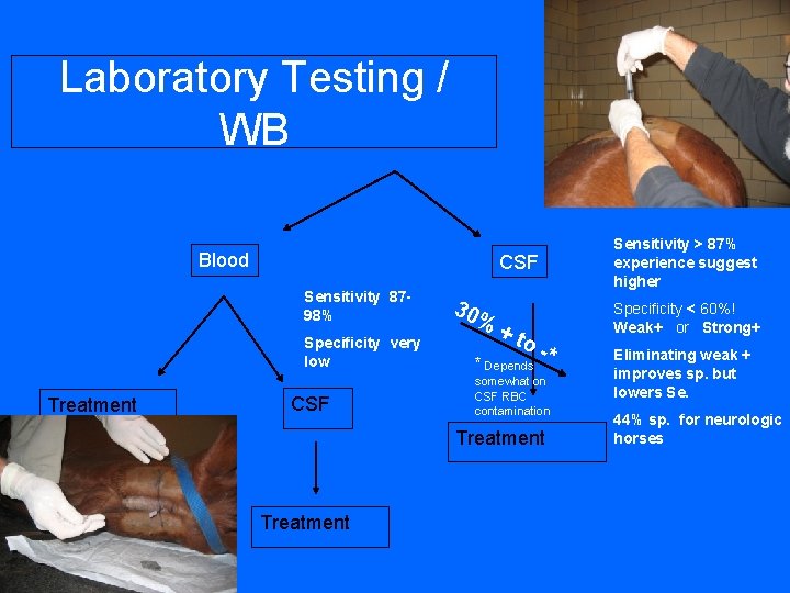 Laboratory Testing / WB Blood CSF Sensitivity 8798% Specificity very low Treatment CSF 30
