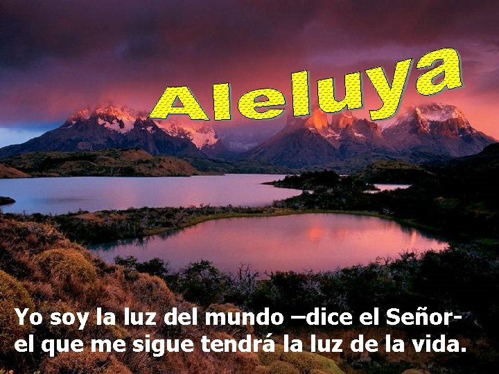 Yo soy la luz del mundo –dice el Señorel que me sigue tendrá la