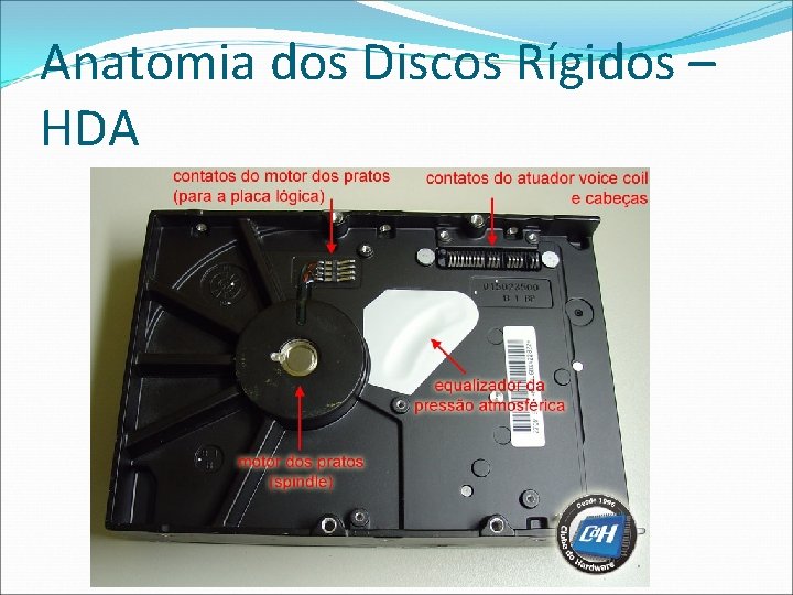 Anatomia dos Discos Rígidos – HDA 