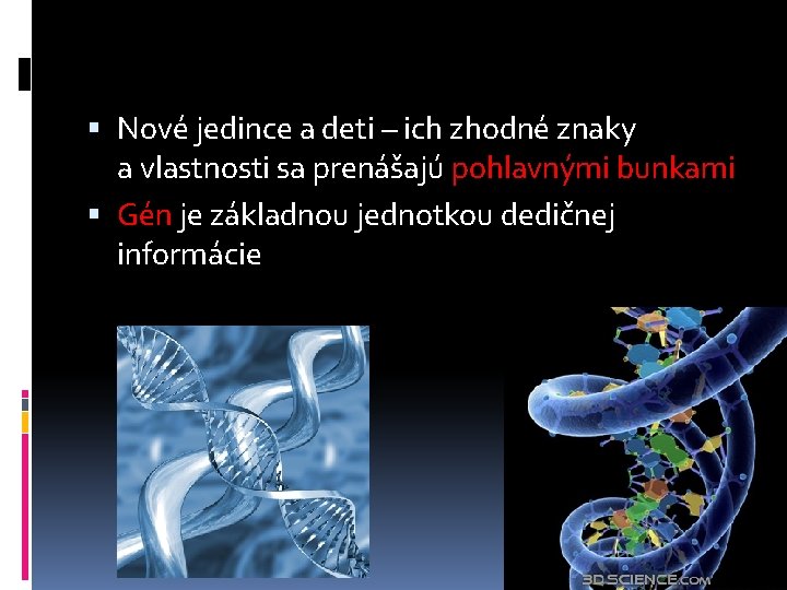  Nové jedince a deti – ich zhodné znaky a vlastnosti sa prenášajú pohlavnými