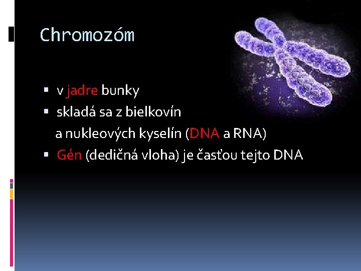 Chromozóm v jadre bunky skladá sa z bielkovín a nukleových kyselín (DNA a RNA)