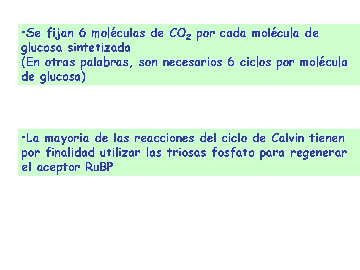 • Se fijan 6 moléculas de CO 2 por cada molécula de glucosa • Se fijan 6 moléculas de CO 2 por cada molécula de glucosa
