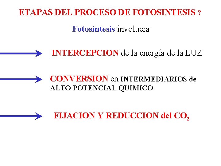 ETAPAS DEL PROCESO DE FOTOSINTESIS ? Fotosíntesis involucra: INTERCEPCION de la energía de la ETAPAS DEL PROCESO DE FOTOSINTESIS ? Fotosíntesis involucra: INTERCEPCION de la energía de la