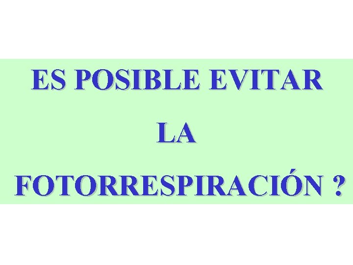 ES POSIBLE EVITAR LA FOTORRESPIRACIÓN ? ES POSIBLE EVITAR LA FOTORRESPIRACIÓN ?