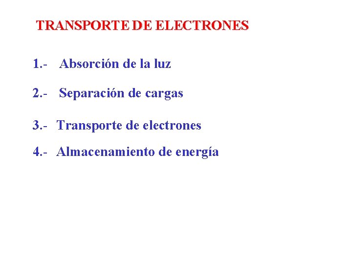 TRANSPORTE DE ELECTRONES 1. - Absorción de la luz 2. - Separación de cargas TRANSPORTE DE ELECTRONES 1. - Absorción de la luz 2. - Separación de cargas