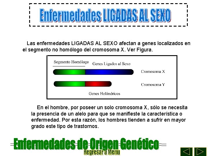 Las enfermedades LIGADAS AL SEXO afectan a genes localizados en el segmento no homólogo