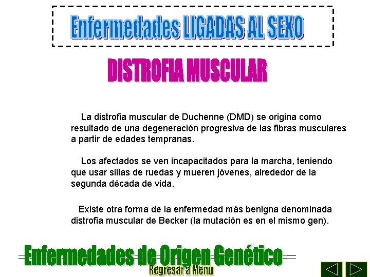 La distrofia muscular de Duchenne (DMD) se origina como resultado de una degeneración progresiva