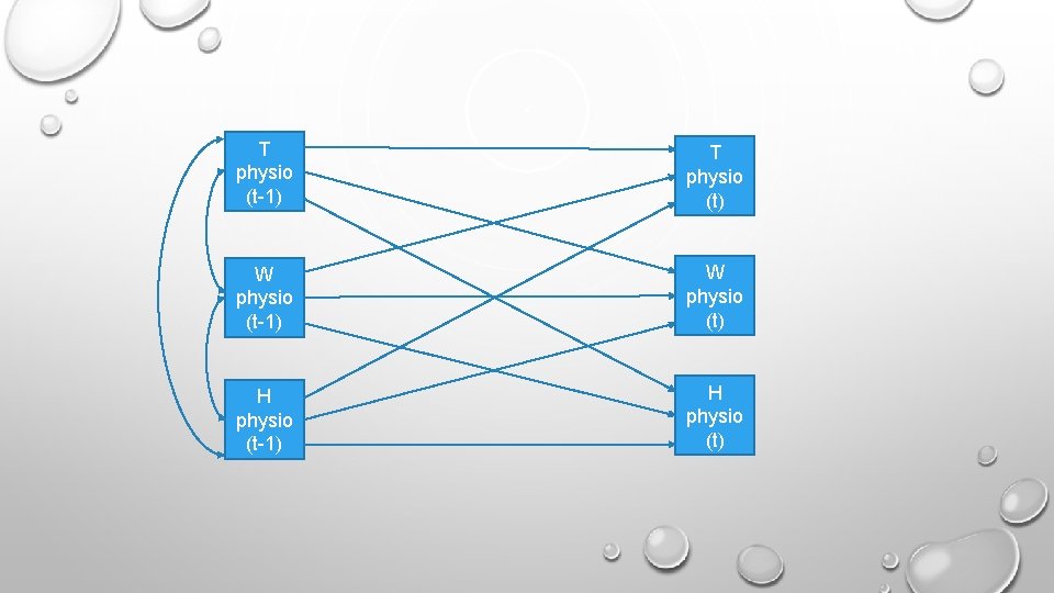T physio (t-1) T physio (t) W physio (t-1) W physio (t) H physio