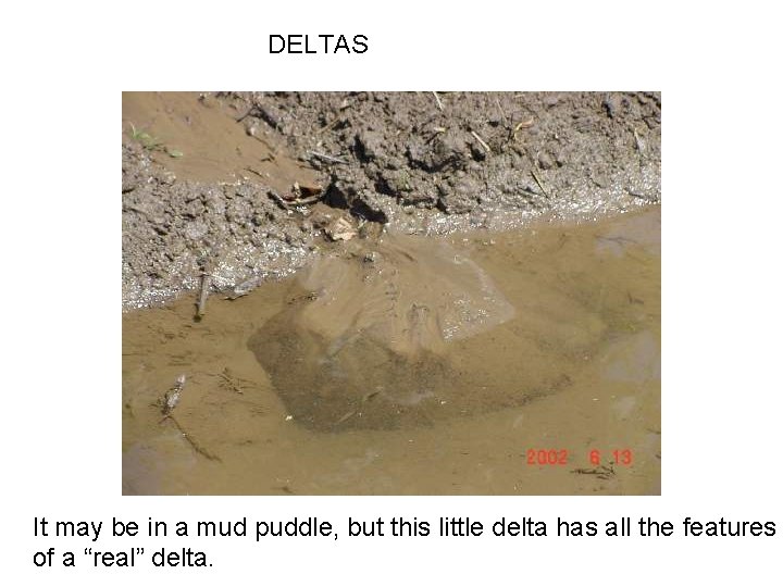 DELTAS It may be in a mud puddle, but this little delta has all