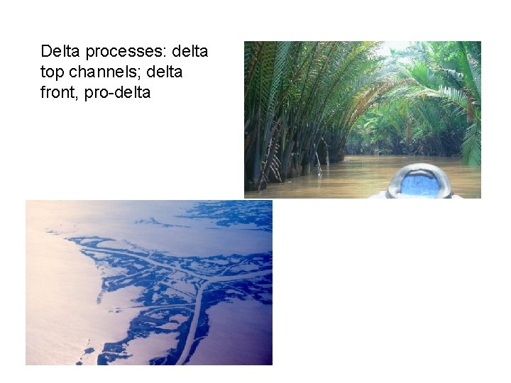 Delta processes: delta top channels; delta front, pro-delta 