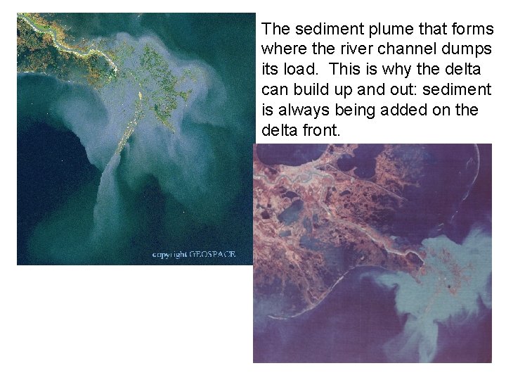 The sediment plume that forms where the river channel dumps its load. This is