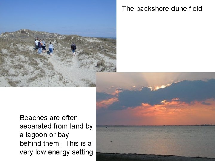 The backshore dune field Beaches are often separated from land by a lagoon or