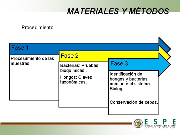 MATERIALES Y MÉTODOS Procedimiento Fase 1 Procesamiento de las muestras. Fase 2 Bacterias: Pruebas