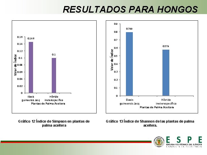 RESULTADOS PARA HONGOS 0. 9 0. 8 0. 16 0. 146 0. 799 0.