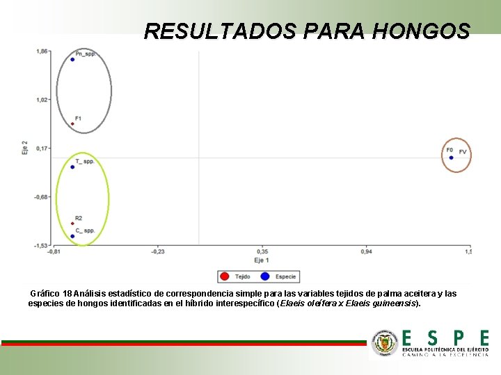 RESULTADOS PARA HONGOS Gráfico 18 Análisis estadístico de correspondencia simple para las variables tejidos