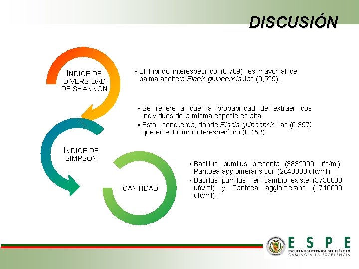 DISCUSIÓN ÍNDICE DE DIVERSIDAD DE SHANNON • El hibrido interespecífico (0, 709), es mayor