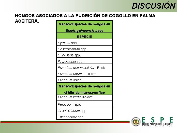 DISCUSIÓN HONGOS ASOCIADOS A LA PUDRICIÓN DE COGOLLO EN PALMA ACEITERA. Género/Especies de hongos