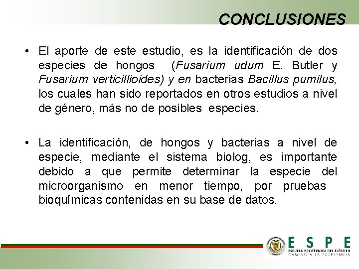 CONCLUSIONES • El aporte de estudio, es la identificación de dos especies de hongos