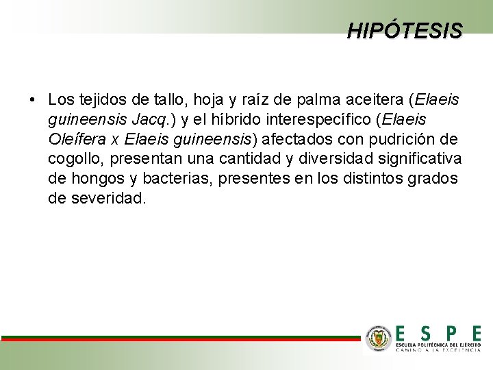 HIPÓTESIS • Los tejidos de tallo, hoja y raíz de palma aceitera (Elaeis guineensis