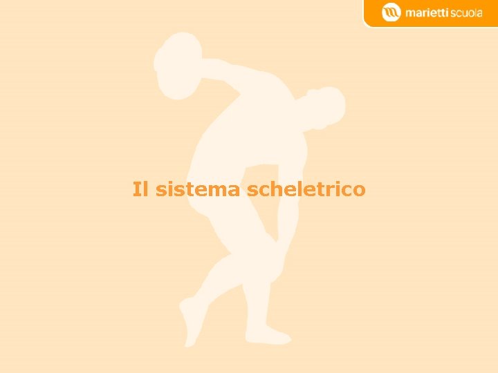 Il sistema scheletrico In movimento – Marietti Scuola © 2010 De Agostini Scuola S.