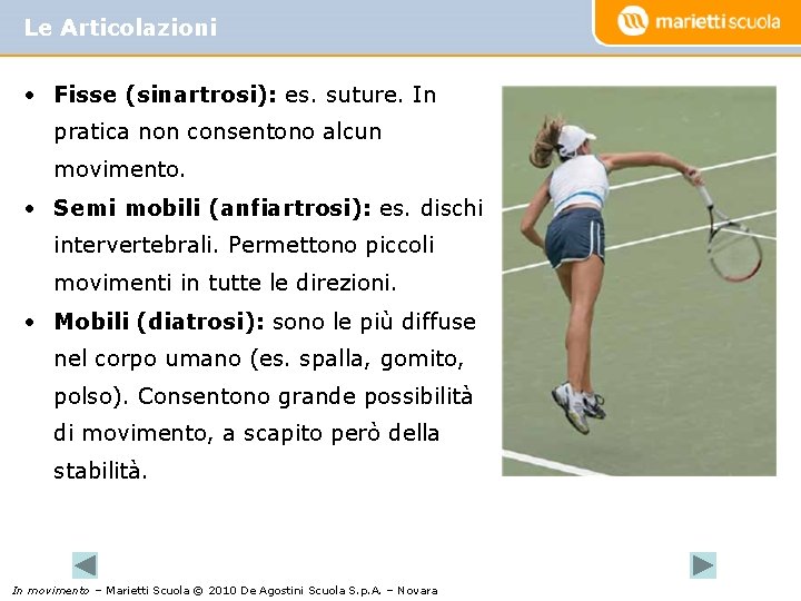 Le Articolazioni • Fisse (sinartrosi): es. suture. In pratica non consentono alcun movimento. •