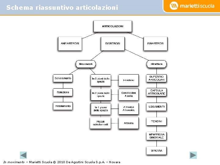 Schema riassuntivo articolazioni In movimento – Marietti Scuola © 2010 De Agostini Scuola S.