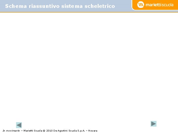 Schema riassuntivo sistema scheletrico In movimento – Marietti Scuola © 2010 De Agostini Scuola