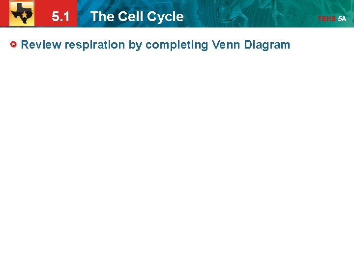 5. 1 The Cell Cycle Review respiration by completing Venn Diagram TEKS 5 A